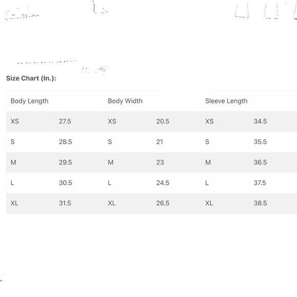 NWT! PACIFIC NORTHWEST Heavyweight Oversized Boundary Line Hoodie - XS Unisex - Picture 6 of 11